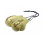 Kanong Hanging Muay Thai Gloves : Gold